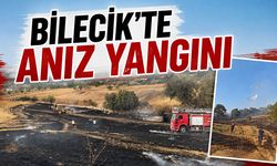 Bilecik'te anız yangını