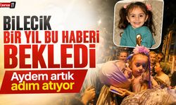 Bilecik bir yıl bu haberi bekledi: Aydem artık adım atıyor