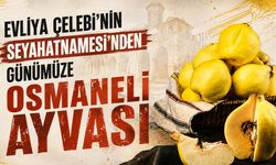 Evliya Çelebi’nin Seyahatnamesi’nden günümüze Osmaneli Ayvası