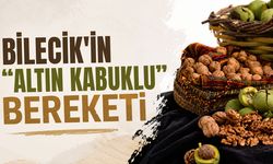Bilecik'in "Altın Kabuklu" Bereketi