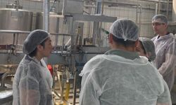 Bilecik’te Gıda Denetimleri Sürüyor