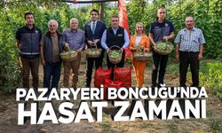 Pazaryeri Boncuğu’nda Hasat Zamanı