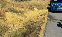 Bozüyük’te Tarla Yangını Büyümeden Söndürüldü