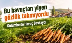 Bu havuçtan yiyen gözlük takmıyordu
