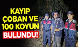 Kayıp Çoban ve 100 Koyun Gece Boyu Süren Aramanın Ardından Bulundu