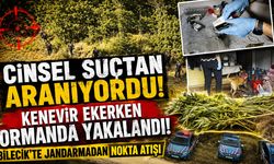 Cinsel suçtan aranıyordu kenevir ekerken ormanda yakalandı
