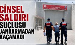 Cinsel saldırı suçlusu jandarmadan kaçamadı