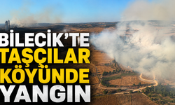 Bilecik’te Taşçılar Köyünde Yangın