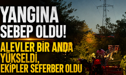Yangına sebep oldu! Alevler Bir Anda Yükseldi, Ekipler seferber oldu
