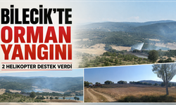Bilecik'te orman yangını