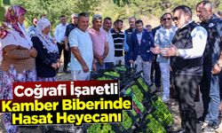 Coğrafi İşaretli Kamber Biberinde Hasat Heyecanı