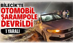 Bilecik'te Otomobil Şarampole Devrildi: 1 yaralı