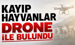 Kayıp Hayvanlar Drone ile Bulundu