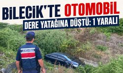 Bilecik'te Otomobil Dere Yatağına Düştü: 1 Yaralı