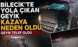 Bilecik'te Yola Çıkan Geyik Kazaya Neden Oldu