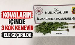 Kovaların içinde kenevir ele geçirildi