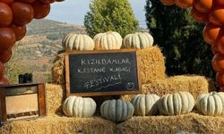 Kızıldamlar Kestane Kabağı coğrafi işaretle değer kazanacak