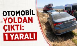 Otomobil Yoldan Çıktı: 1 Yaralı