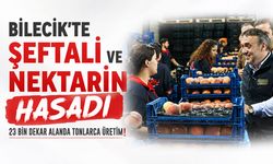 Vali Sözer, Şeftali ve Nektarin Hasadına Katıldı, Üreticileri Dinledi