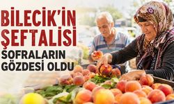 Bilecik’in şeftalisi sofraların gözdesi oldu