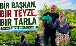 Bir Başkan, Bir Teyze, Bir Tarla: Serkan Yıldırım Biber Tarlasında
