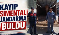 Kayıp Simentali Jandarma Buldu