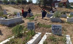 Söğüt’te Gençlerden Örnek Çevre Duyarlılığı