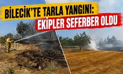 Bilecik'te Tarla Yangını: Ekipler Seferber Oldu