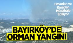 Bayırköy’de Orman Yangını: Havadan ve Karadan Müdahale Ediliyor