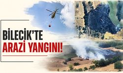 Bilecik'te arazi yangını!