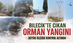 Bilecik'te çıkan Orman Yangını Büyük Ölçüde Kontrol Altında