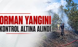 Orman yangını kontrol altına alındı