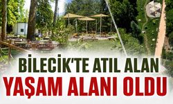 Bilecik'te Atıl Alan Yaşam Alanı Oldu