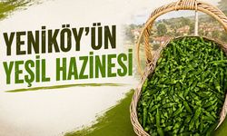 Yeniköy’ün Yeşil Hazinesi