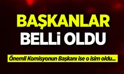 Bilecik İl Genel Meclisi’nde Komisyon Başkanları Belli Oldu