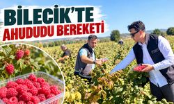 Bilecik’te Ahududu Bereketi
