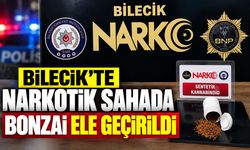 Bilecik'te Narkotik sahada: Bonzai ele geçirildi
