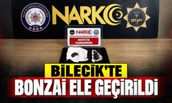 Bilecik'te Bonzai Ele Geçirildi