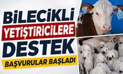 Başvurular Başladı: Bilecikli Yetiştiricilere Destek
