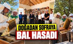 Doğadan Sofraya Bal Hasadı