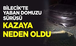 Bilecik'te Yaban Domuzu Sürüsü Kazaya Neden Oldu