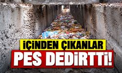 İÇİNDEN ÇIKANLAR PES DEDİRTTİ!