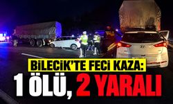 Bilecik'te Feci Kaza: 1 ölü, 2 Yaralı