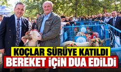 Dodurga’da Koçlar Sürüye Katıldı, Bereket İçin Dua Edildi
