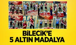 Bilecik'e 5 altın madalya