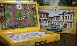Osmaneli’nin Tatlı İmzası: Ayva Lokumu