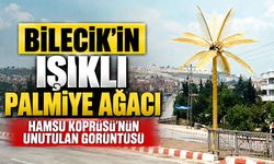 Bilecik’in ışıklı palmiye ağacı: Hamsu Köprüsü’nün unutulan görüntüsü