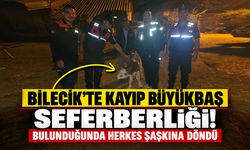 Bilecik'te Kayıp Büyükbaş Seferberliği! Bulunduğunda Herkes Şaşkına Döndü