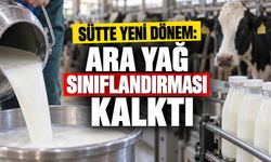 Sütte Yeni Dönem: Ara Yağ Sınıflandırması Kalktı