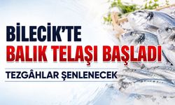 Bilecik’te Balık Telaşı Başladı: Tezgâhlar Şenlenecek